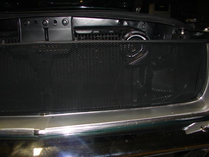 DSC06987.JPG